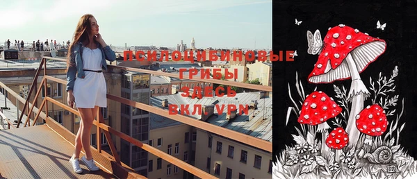 крисы Нея