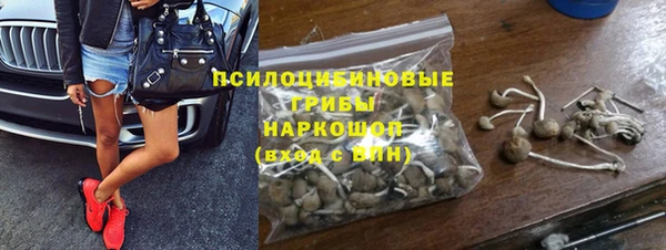 винт Калининец