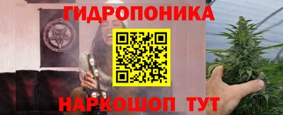 бошки Аргун