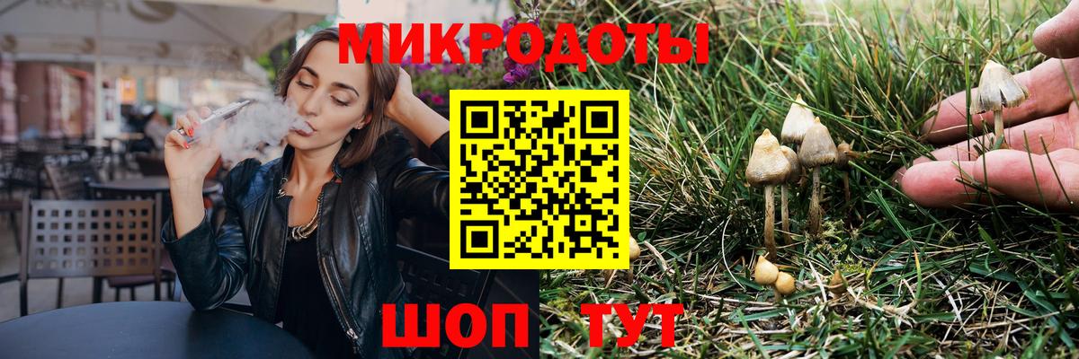 Псилоцибиновые грибы Psilocybe Белгород