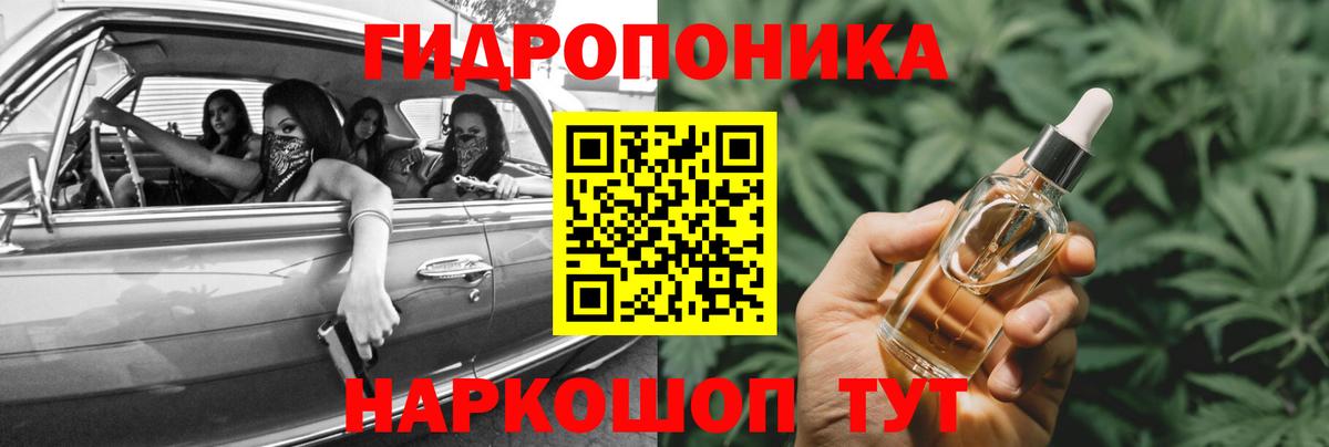 Конопля LSD WEED  Канабис план  Шишки марихуана Bruce Banner  Каннабис марихуана  Белгород 